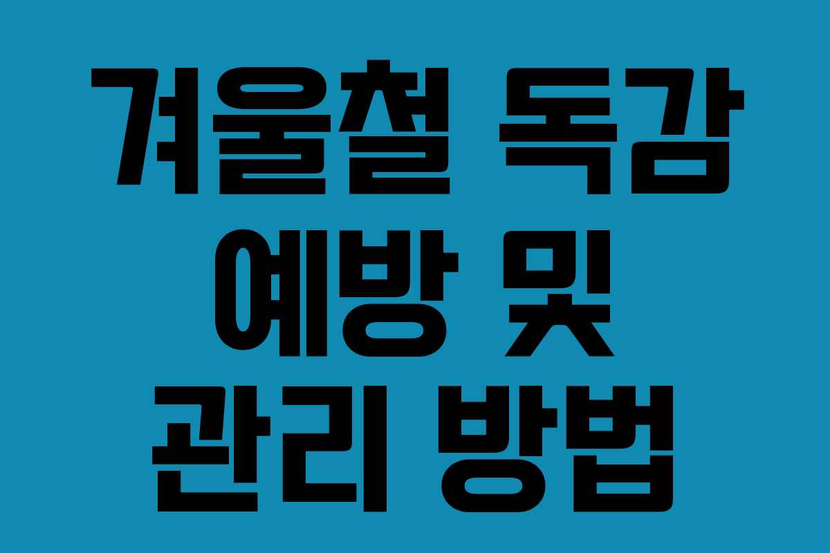 겨울철 독감 예방 및 관리 방법 겨울철 독감 예방 및 관리 방법