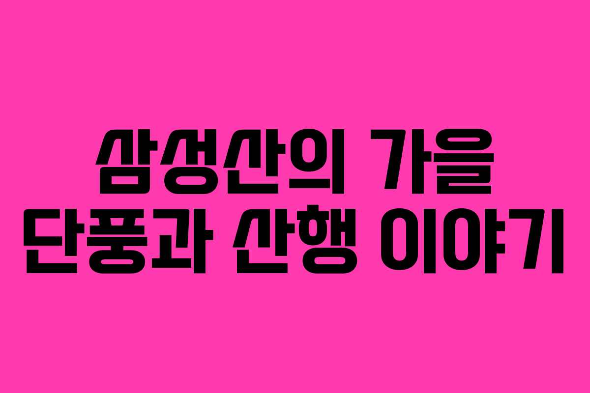 삼성산의 가을 단풍과 산행 이야기