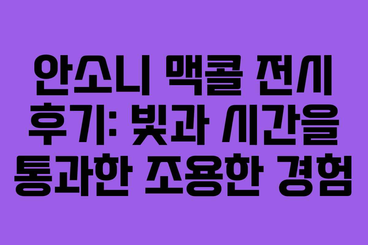 안소니 맥콜 전시 후기: 빛과 시간을 통과한 조용한 경험