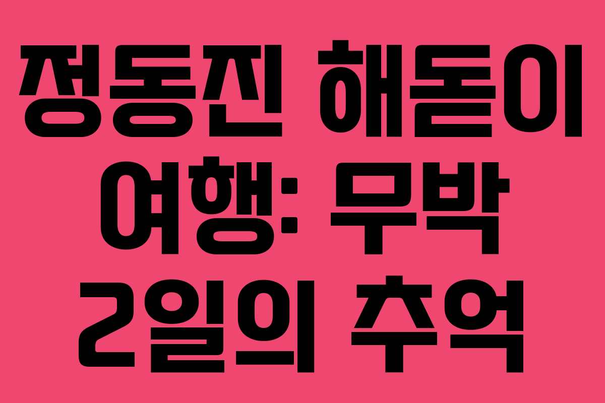 정동진 해돋이 여행: 무박 2일의 추억