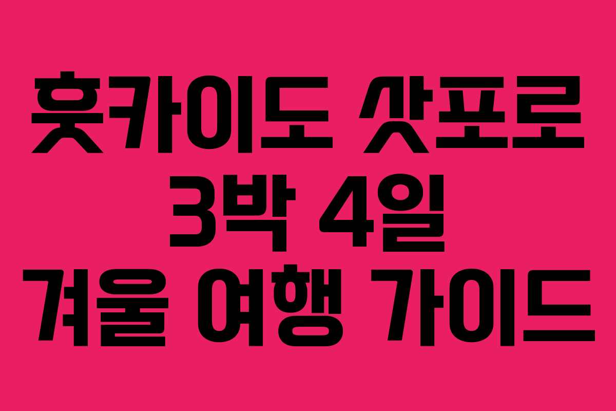 훗카이도 삿포로 3박 4일 겨울 여행 가이드
