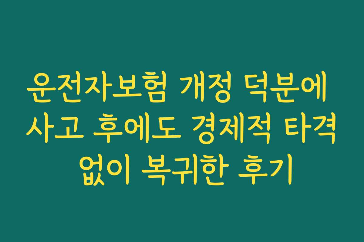 운전자보험 개정 덕분에 사고 후에도 경제적 타격 없이 복귀한 후기
