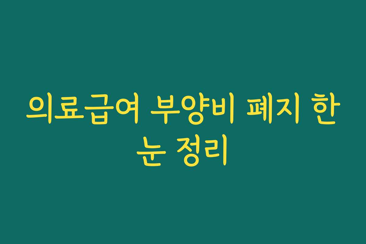 의료급여 부양비 폐지 한눈 정리