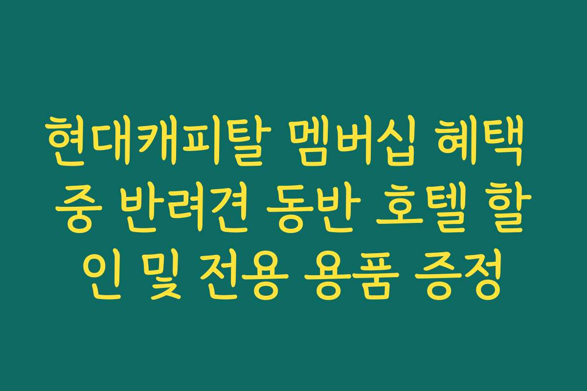 현대캐피탈 멤버십 혜택 중 반려견 동반 호텔 할인 및 전용 용품 증정