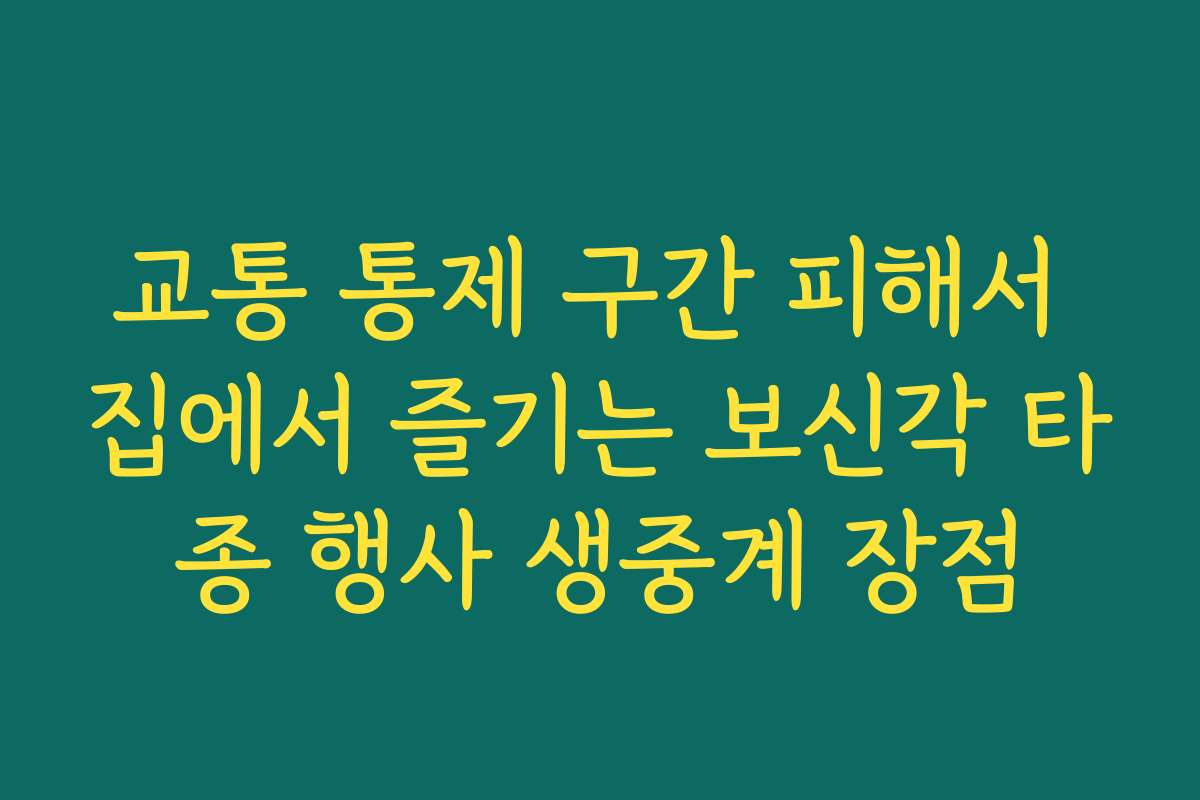 교통 통제 구간 피해서 집에서 즐기는 보신각 타종 행사 생중계 장점