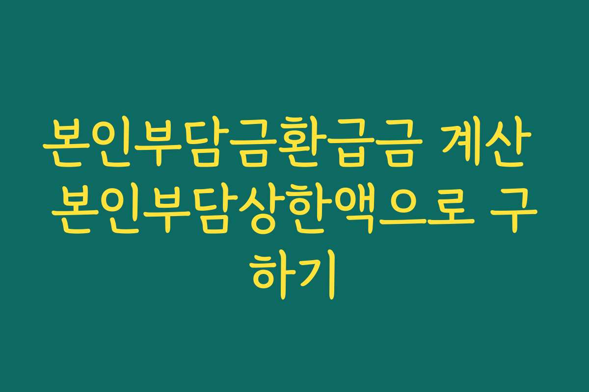 본인부담금환급금 계산 본인부담상한액으로 구하기