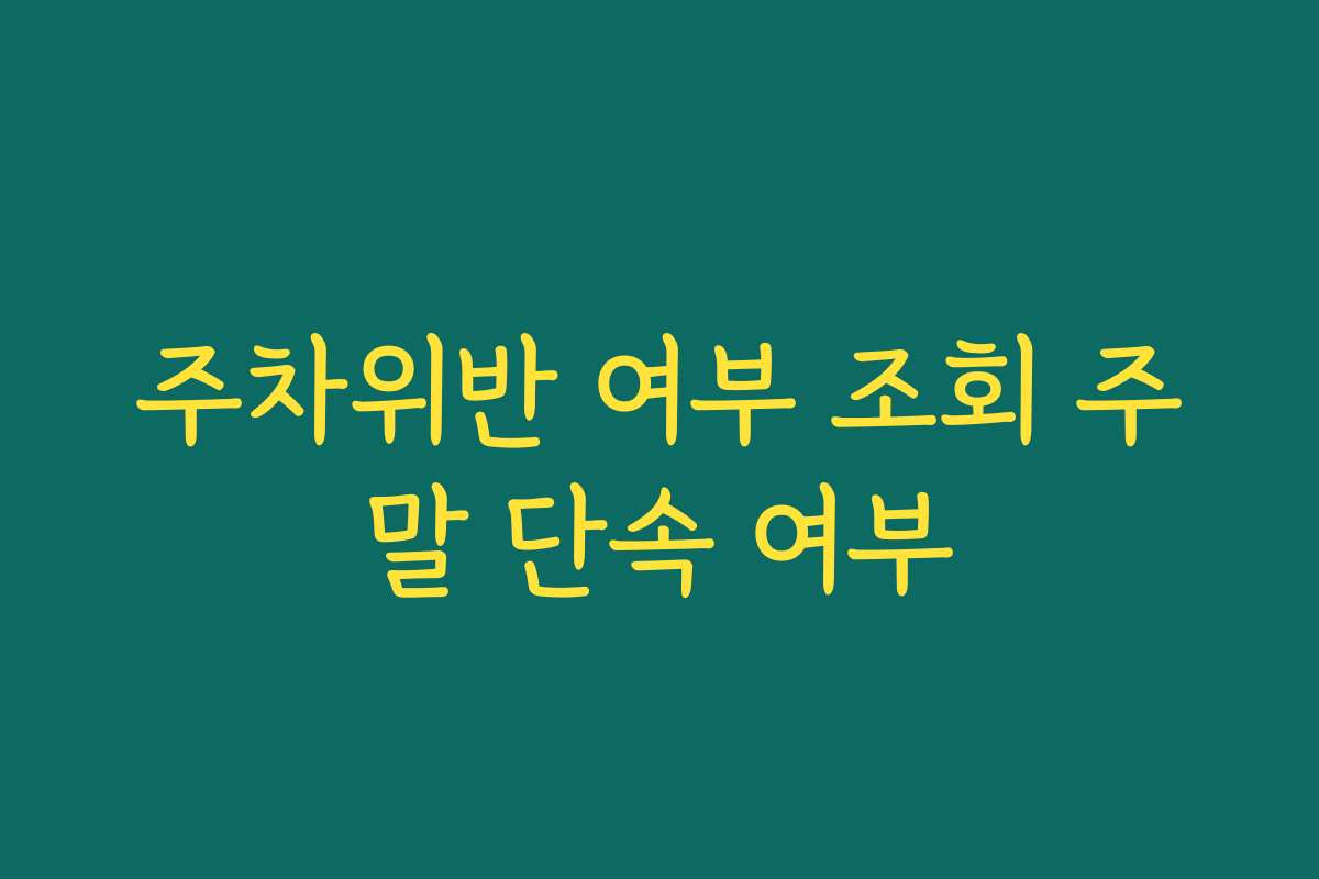 주차위반 여부 조회 주말 단속 여부