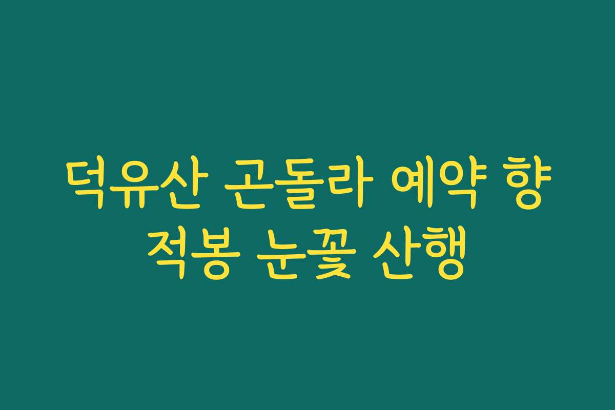 덕유산 곤돌라 예약 향적봉 눈꽃 산행