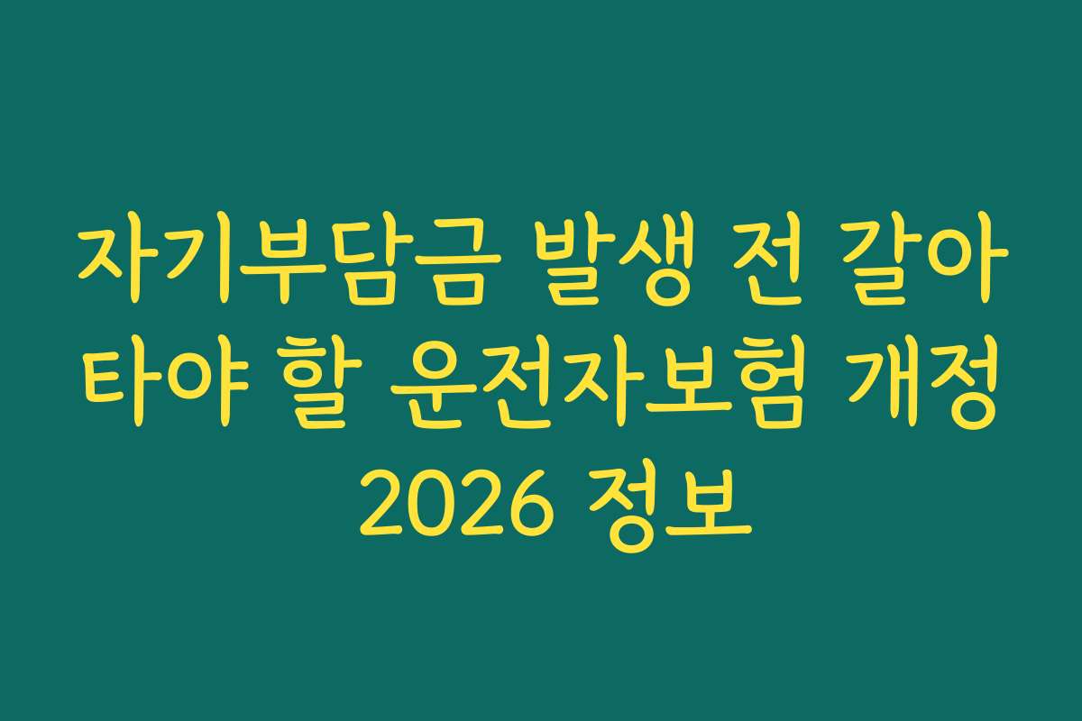 자기부담금 발생 전 갈아타야 할 운전자보험 개정 2026 정보