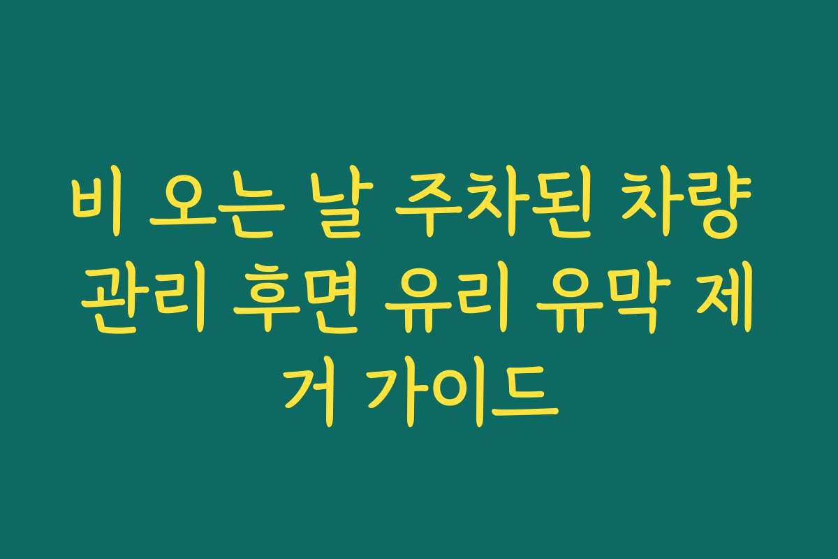 비 오는 날 주차된 차량 관리 후면 유리 유막 제거 가이드