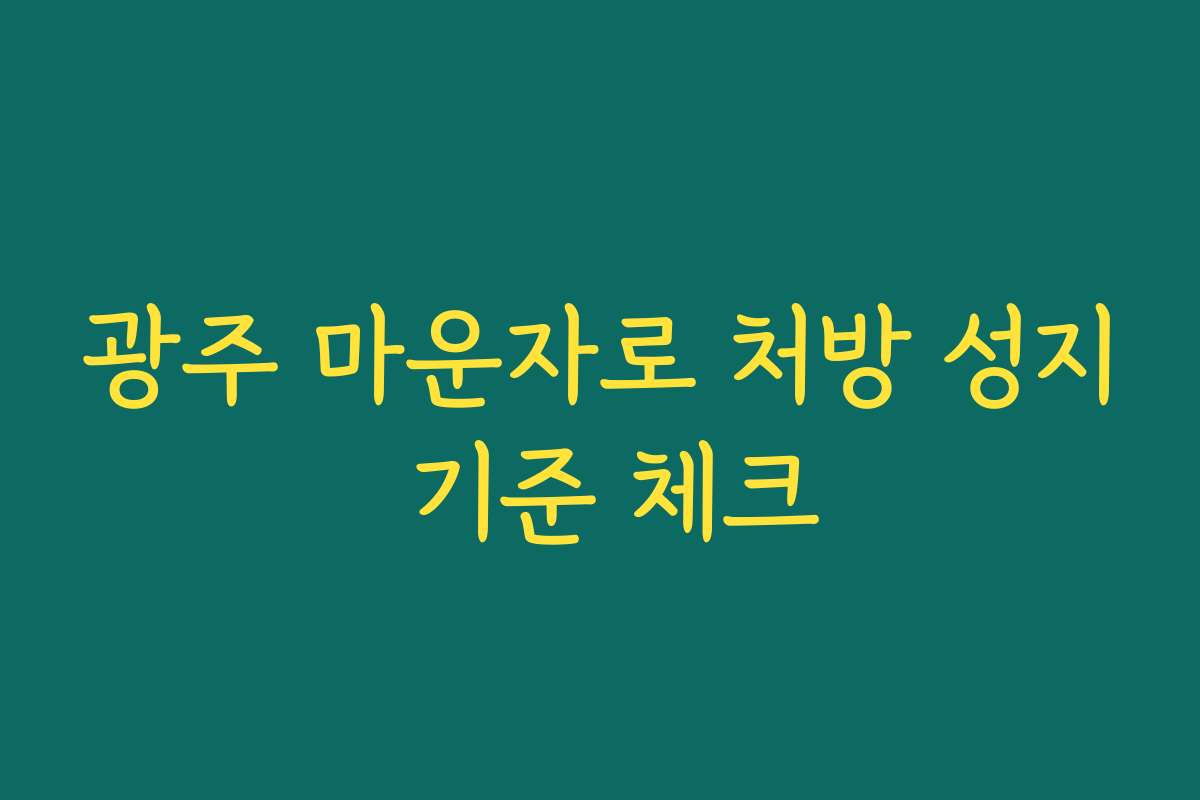 광주 마운자로 처방 성지 기준 체크
