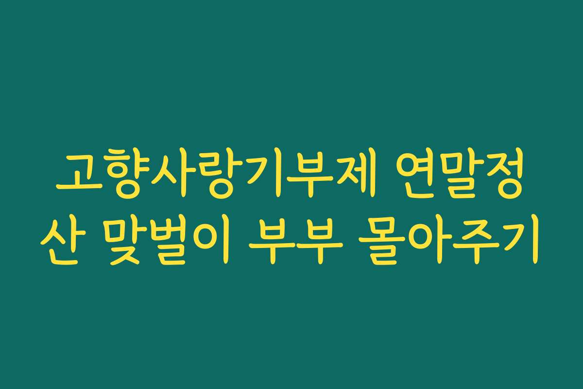 고향사랑기부제 연말정산 맞벌이 부부 몰아주기