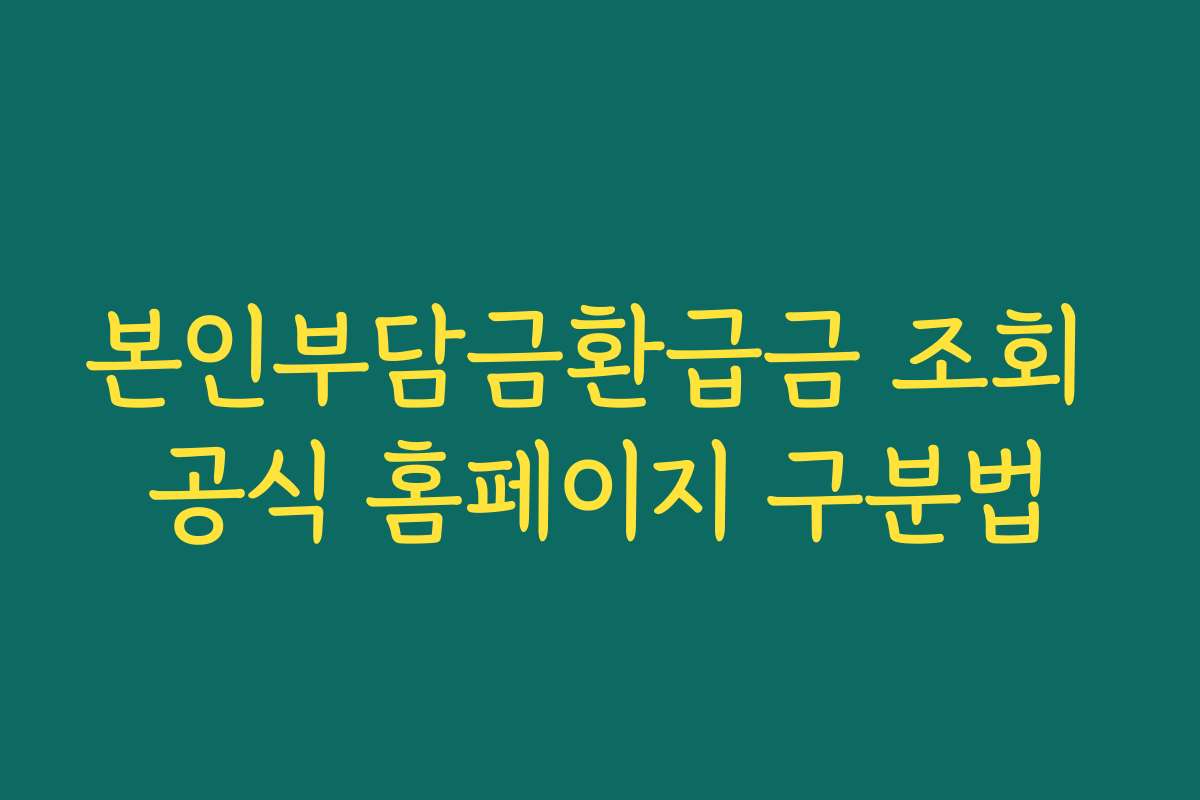 본인부담금환급금 조회 공식 홈페이지 구분법