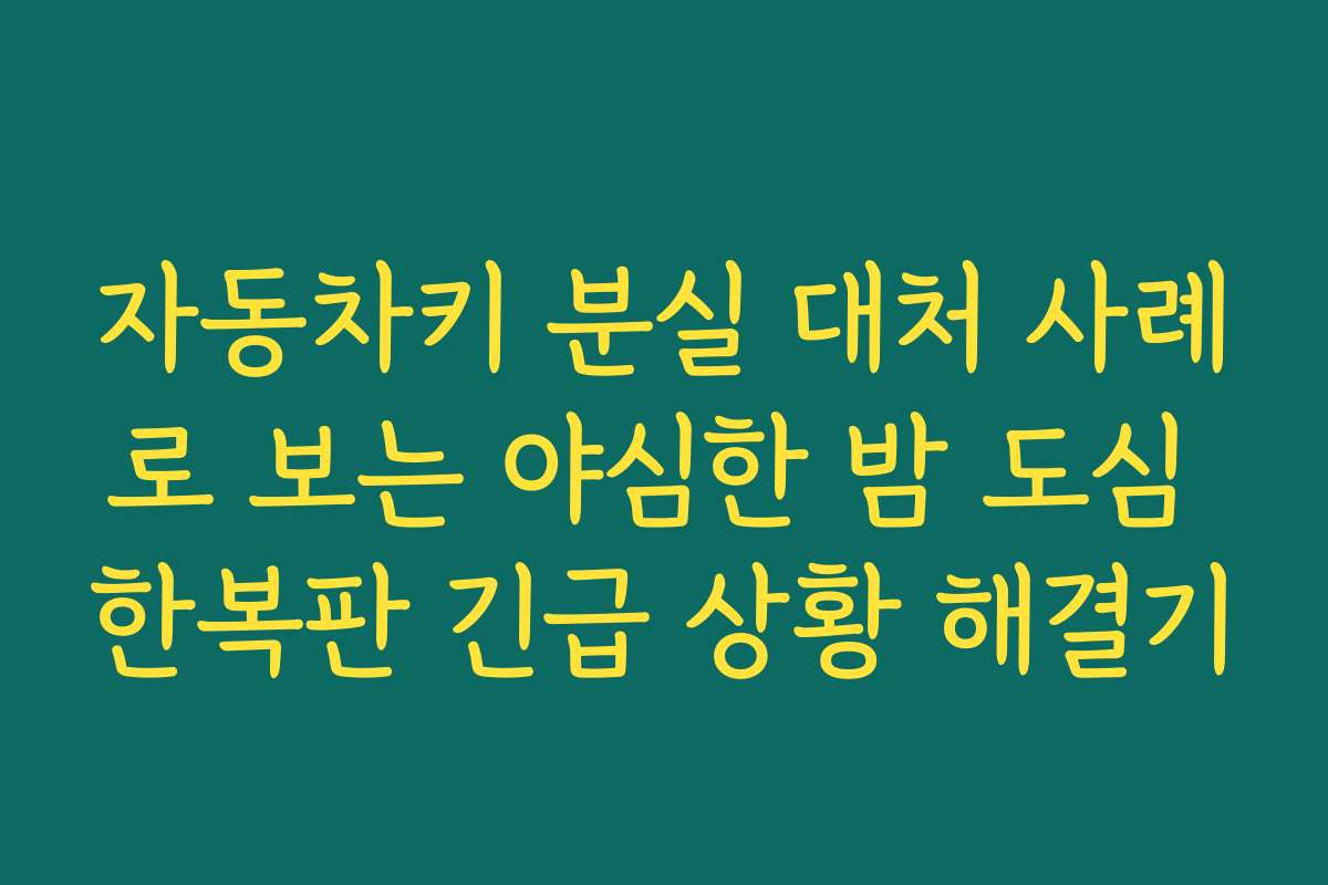 자동차키 분실 대처 사례로 보는 야심한 밤 도심 한복판 긴급 상황 해결기 자동차키 분실 대처 사례로 보는 야심한 밤 도심 한복판 긴급 상황 해결기