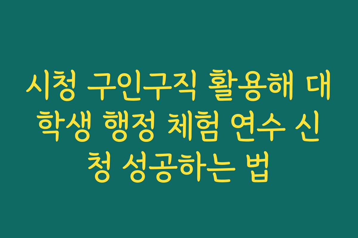 시청 구인구직 활용해 대학생 행정 체험 연수 신청 성공하는 법