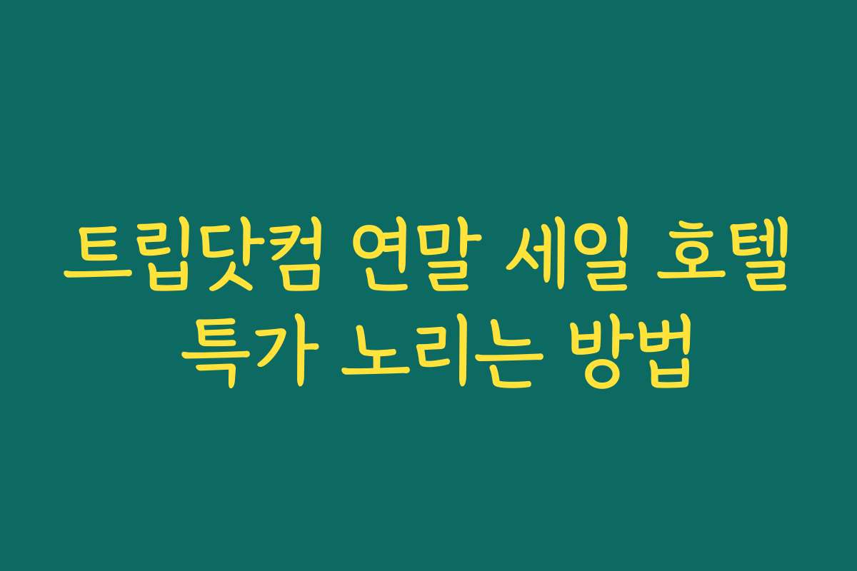 트립닷컴 연말 세일 호텔 특가 노리는 방법