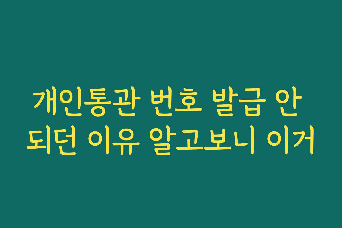 개인통관 번호 발급 안 되던 이유 알고보니 이거