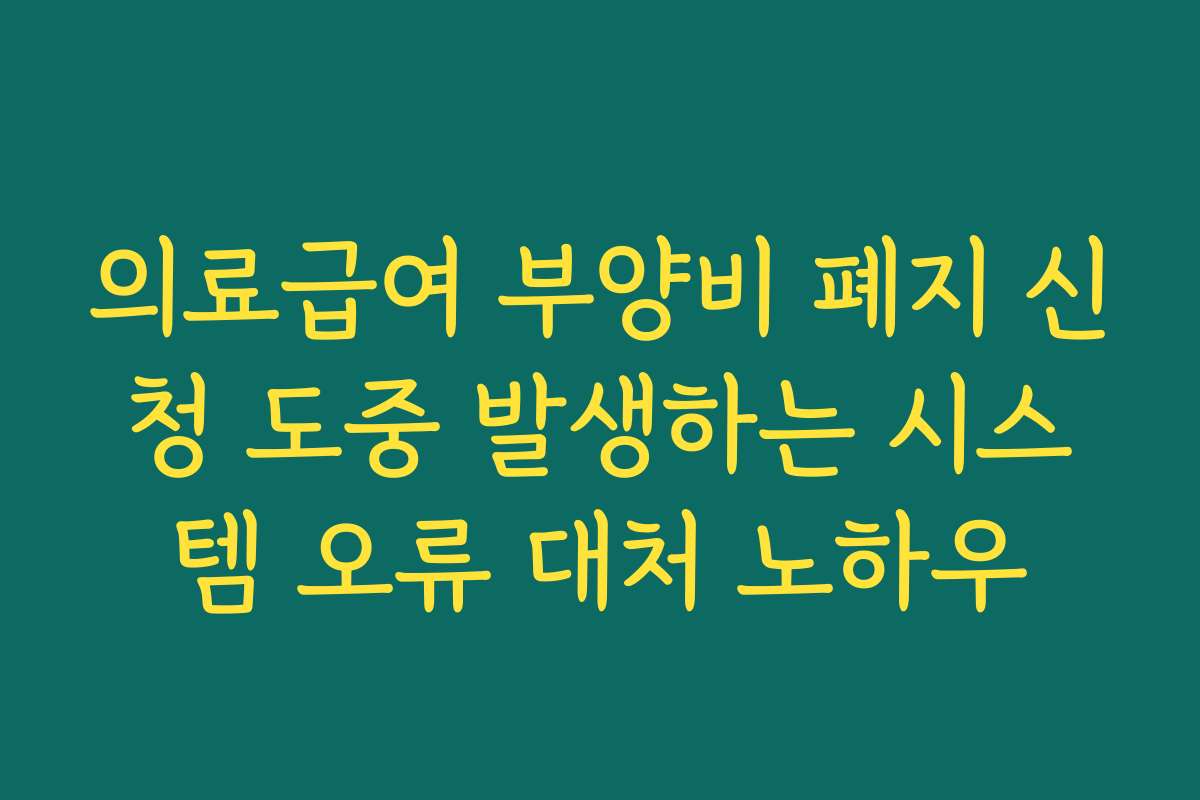 의료급여 부양비 폐지 신청 도중 발생하는 시스템 오류 대처 노하우