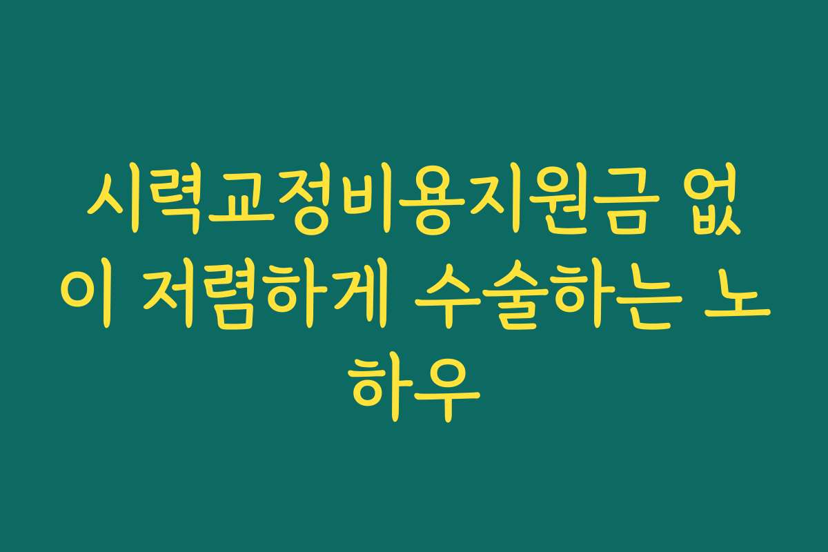 시력교정비용지원금 없이 저렴하게 수술하는 노하우