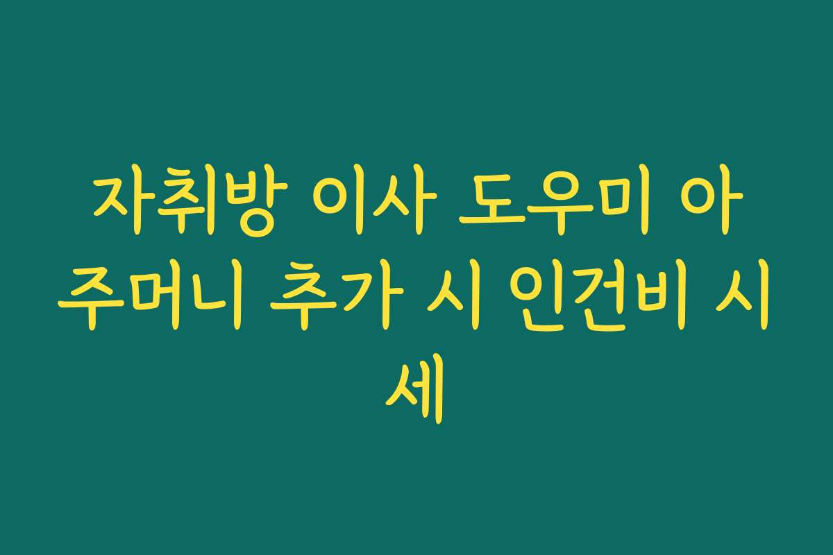 자취방 이사 도우미 아주머니 추가 시 인건비 시세
