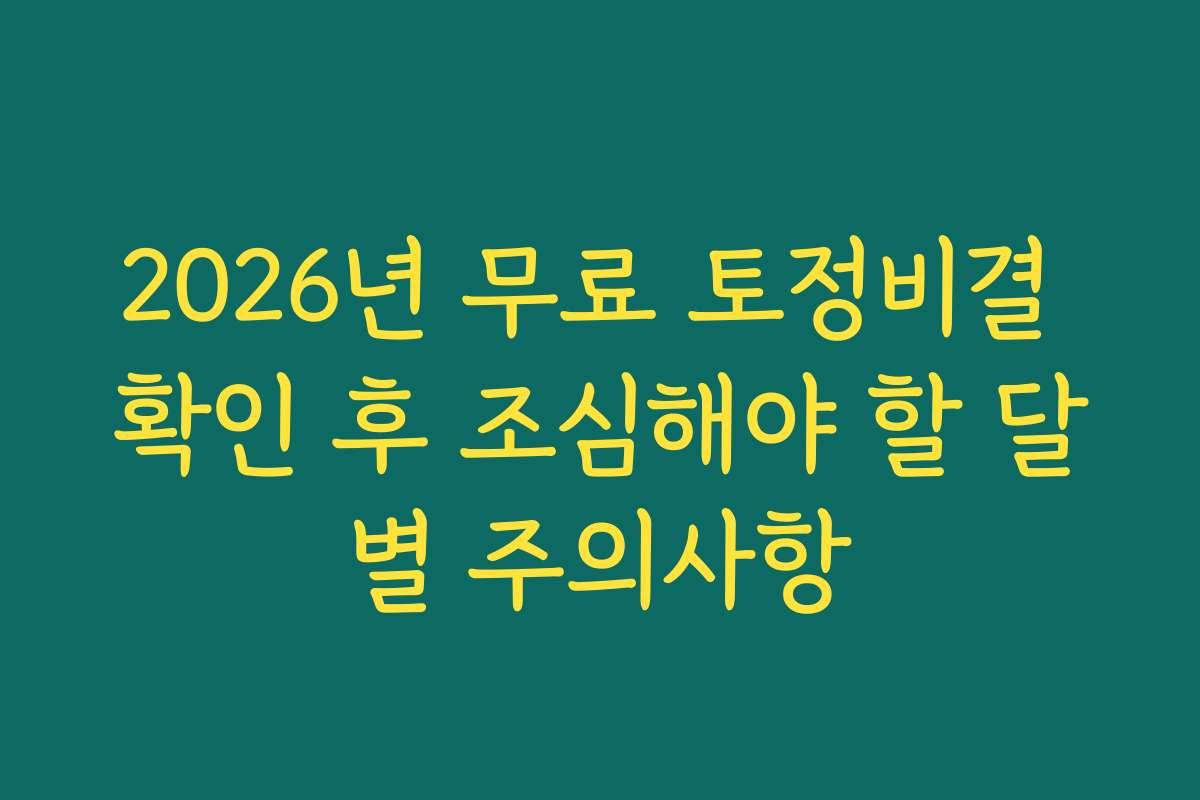 2026년 무료 토정비결 확인 후 조심해야 할 달별 주의사항