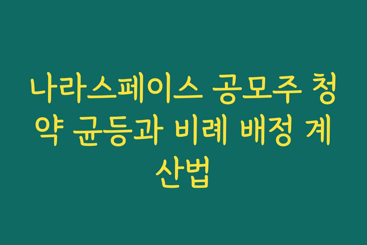 나라스페이스 공모주 청약 균등과 비례 배정 계산법