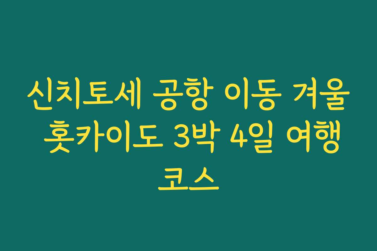 신치토세 공항 이동 겨울 홋카이도 3박 4일 여행코스