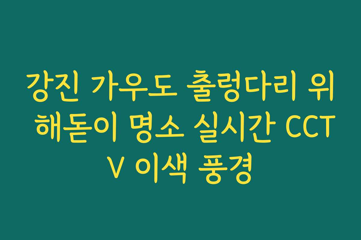 강진 가우도 출렁다리 위 해돋이 명소 실시간 CCTV 이색 풍경 강진 가우도 출렁다리 위 해돋이 명소 실시간 CCTV 이색 풍경