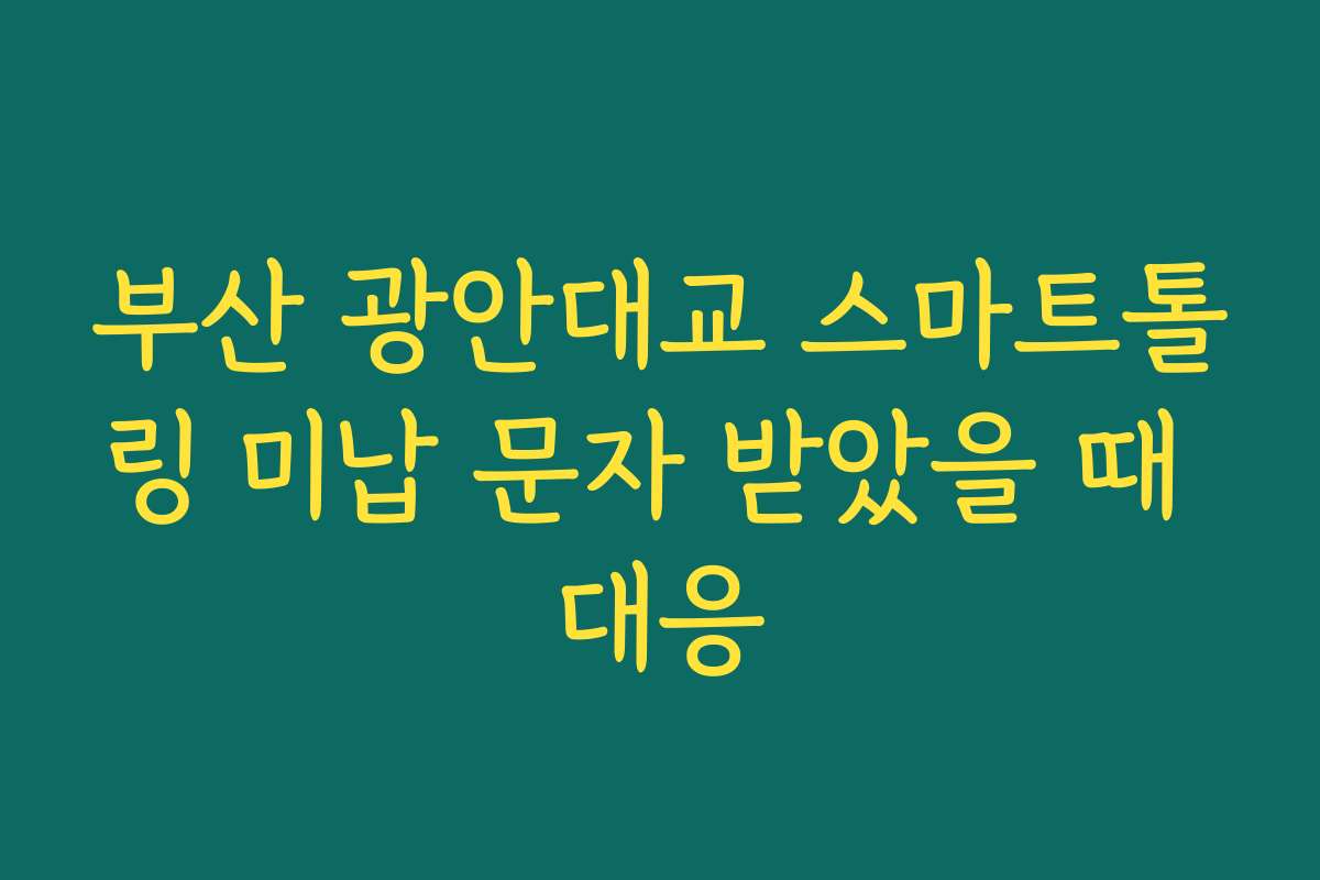 부산 광안대교 스마트톨링 미납 문자 받았을 때 대응