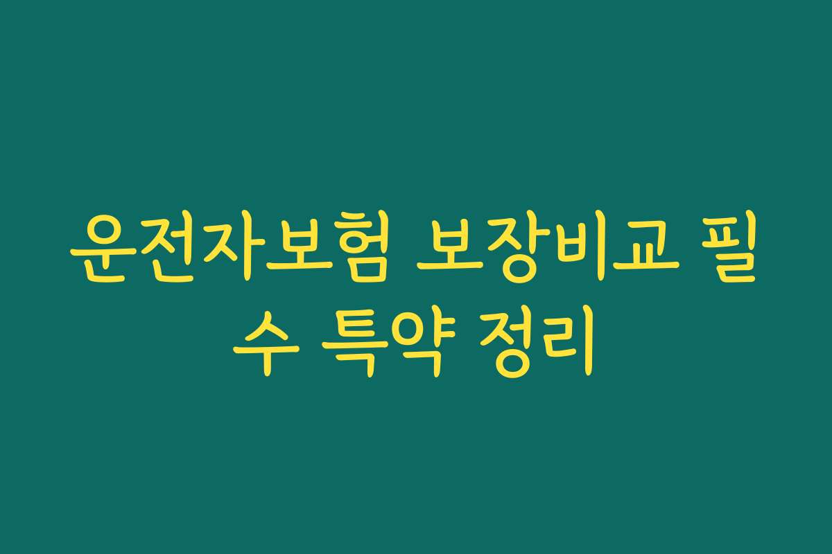 운전자보험 보장비교 필수 특약 정리
