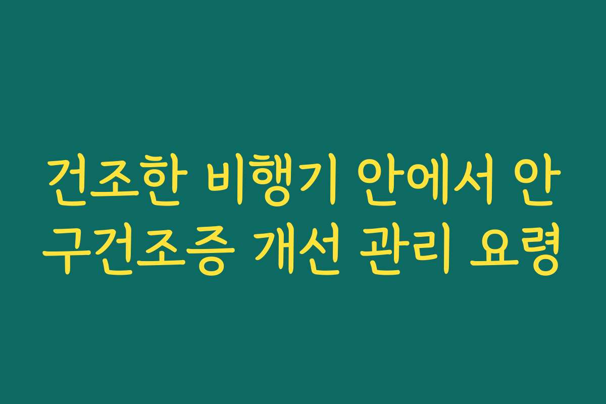 건조한 비행기 안에서 안구건조증 개선 관리 요령