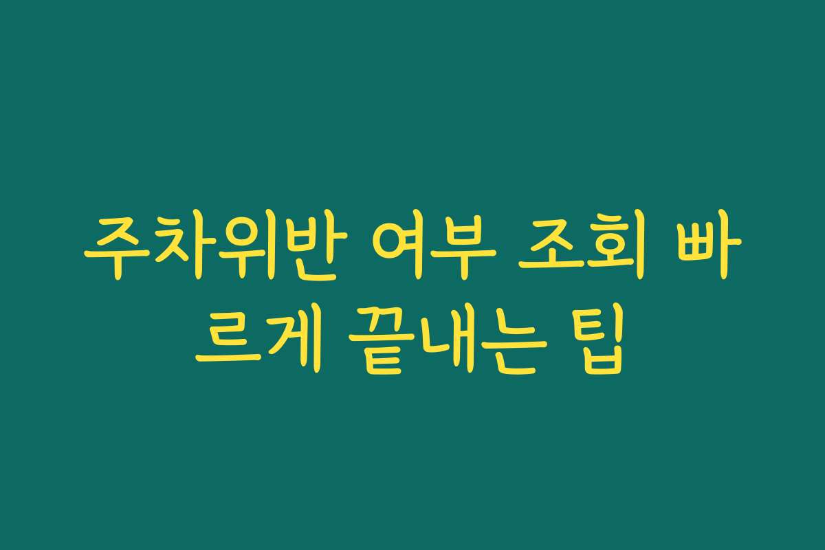 주차위반 여부 조회 빠르게 끝내는 팁