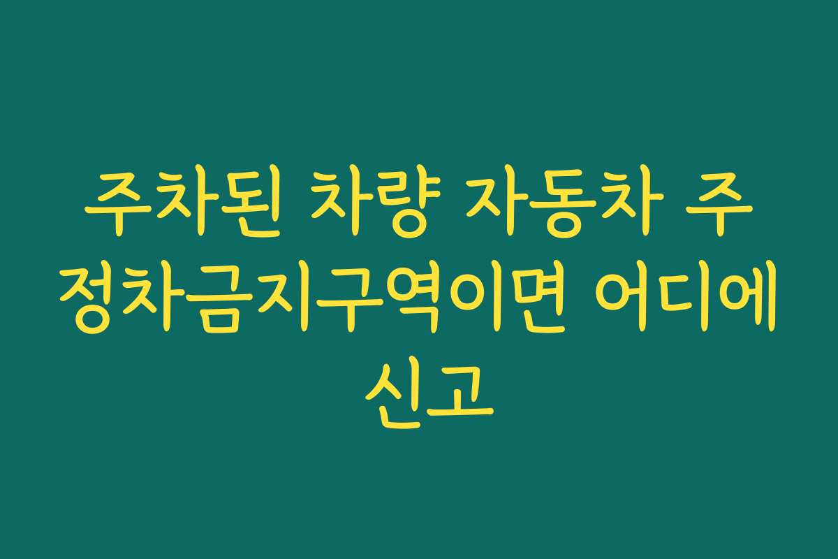 주차된 차량 자동차 주정차금지구역이면 어디에 신고