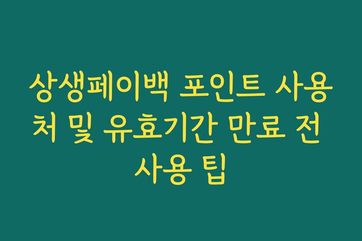상생페이백 포인트 사용처 및 유효기간 만료 전 사용 팁
