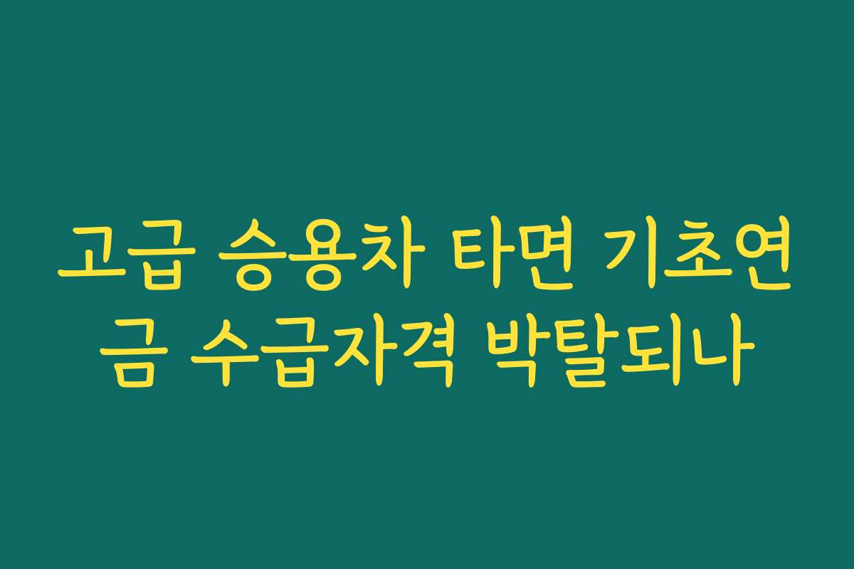 고급 승용차 타면 기초연금 수급자격 박탈되나