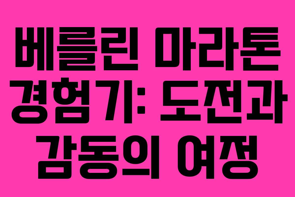 베를린 마라톤 경험기: 도전과 감동의 여정
