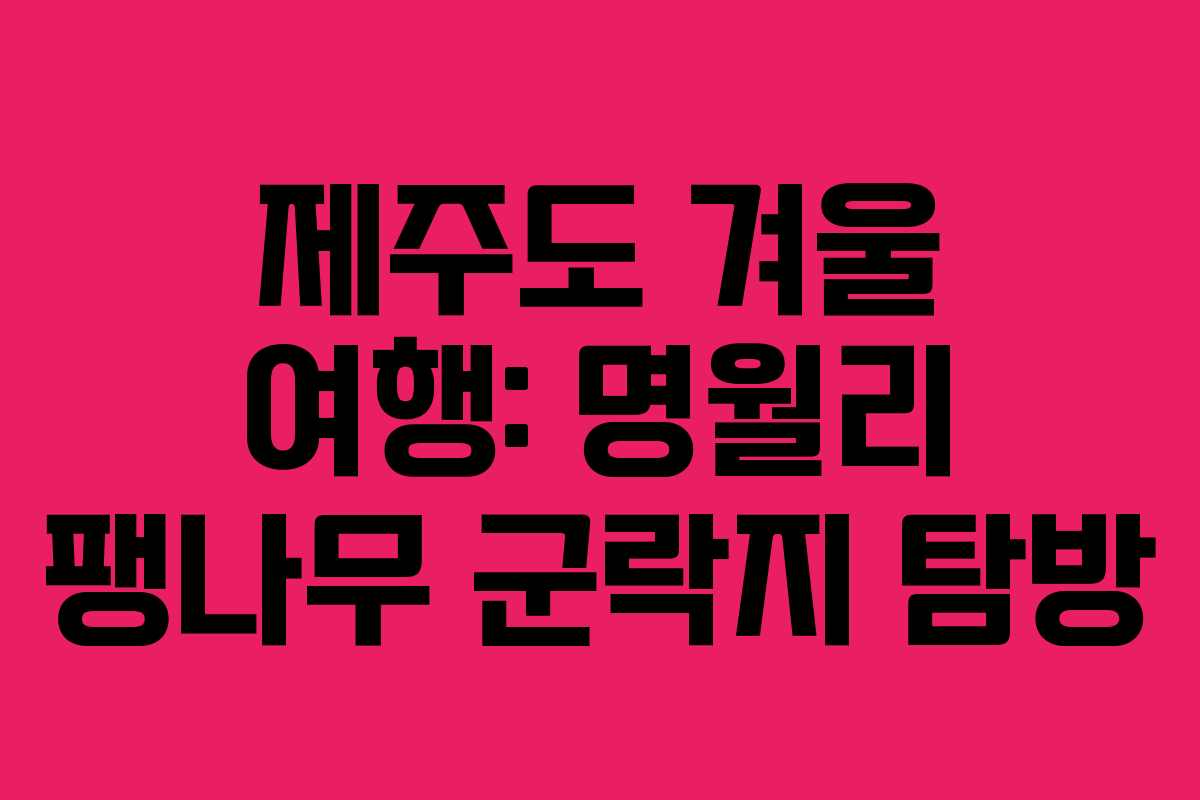제주도 겨울 여행: 명월리 팽나무 군락지 탐방