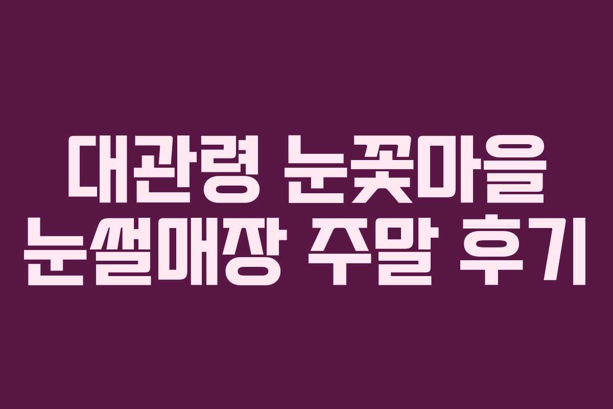 대관령 눈꽃마을 눈썰매장 주말 후기