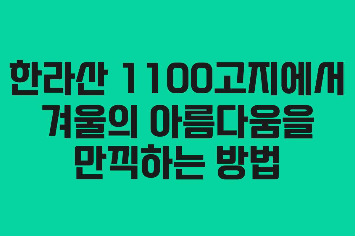 한라산 1100고지에서 겨울의 아름다움을 만끽하는 방법