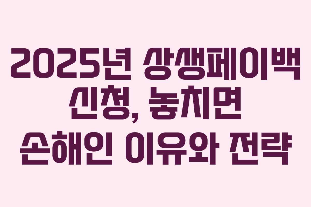 2025년 상생페이백 신청, 놓치면 손해인 이유와 전략