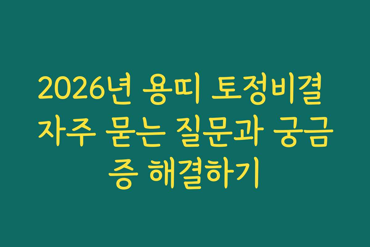 2026년 용띠 토정비결 자주 묻는 질문과 궁금증 해결하기 2026년 용띠 토정비결 자주 묻는 질문과 궁금증 해결하기