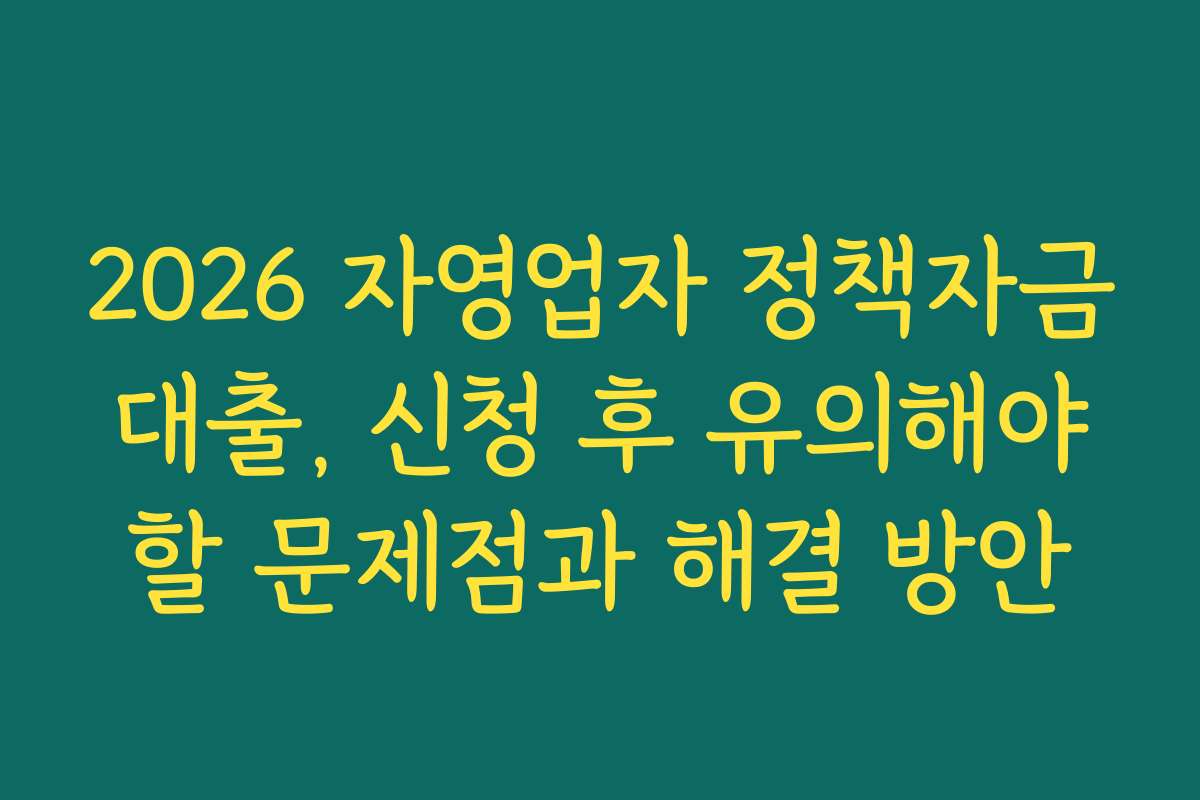 2026 자영업자 정책자금 대출, 신청 후 유의해야 할 문제점과 해결 방안 2026 자영업자 정책자금 대출, 신청 후 유의해야 할 문제점과 해결 방안