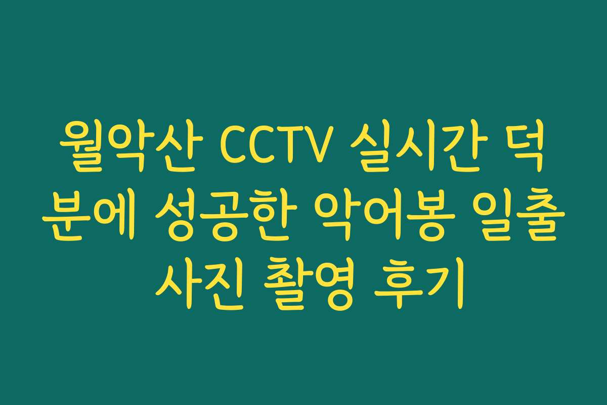 월악산 CCTV 실시간 덕분에 성공한 악어봉 일출 사진 촬영 후기
