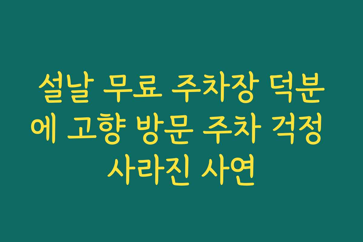 설날 무료 주차장 덕분에 고향 방문 주차 걱정 사라진 사연 설날 무료 주차장 덕분에 고향 방문 주차 걱정 사라진 사연