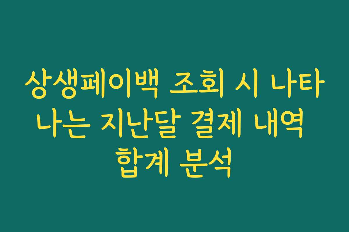 상생페이백 조회 시 나타나는 지난달 결제 내역 합계 분석