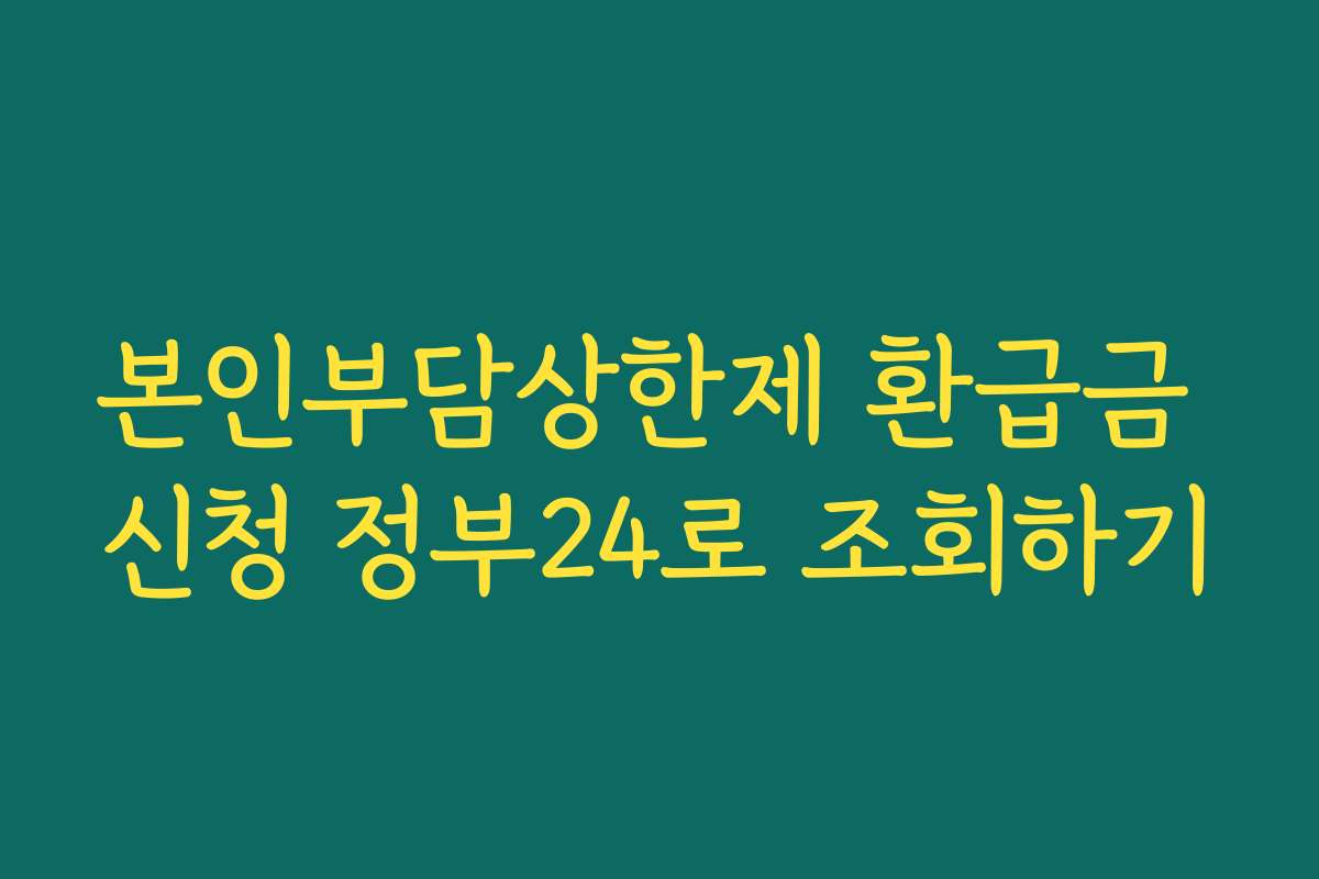 본인부담상한제 환급금 신청 정부24로 조회하기 본인부담상한제 환급금 신청 정부24로 조회하기