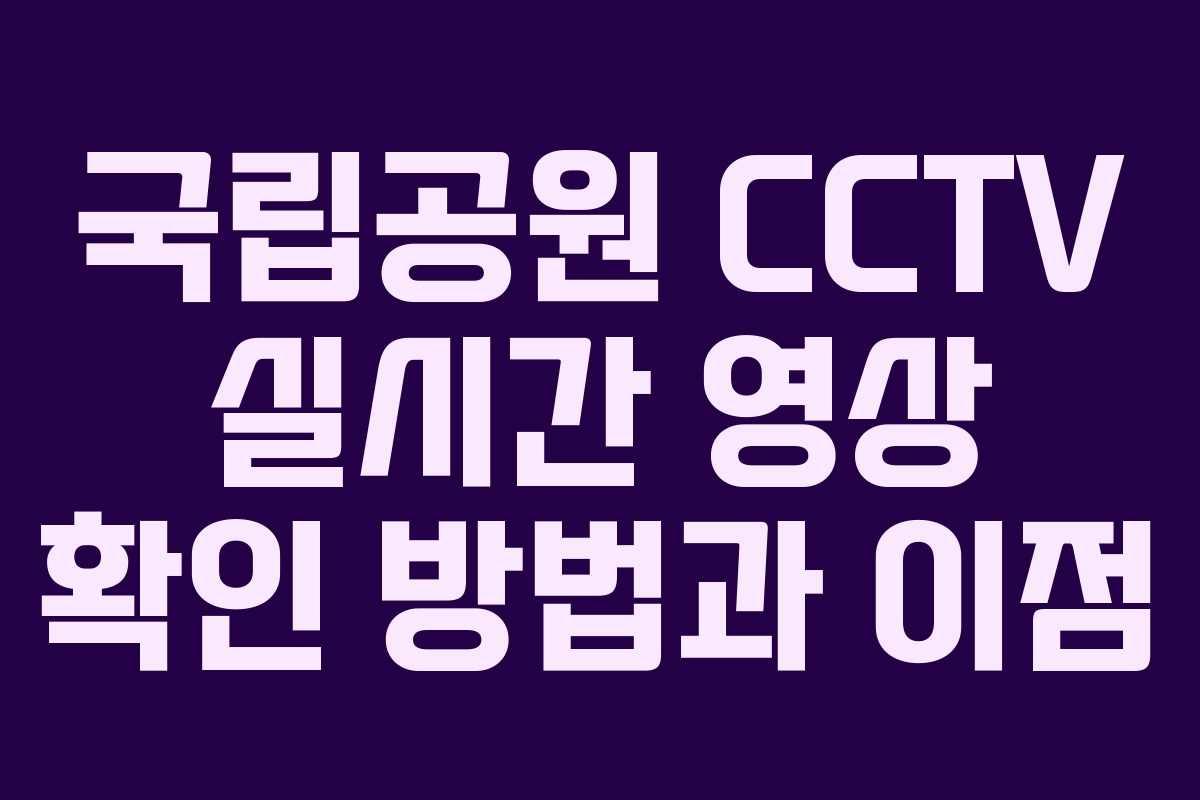 국립공원 CCTV 실시간 영상 확인 방법과 이점