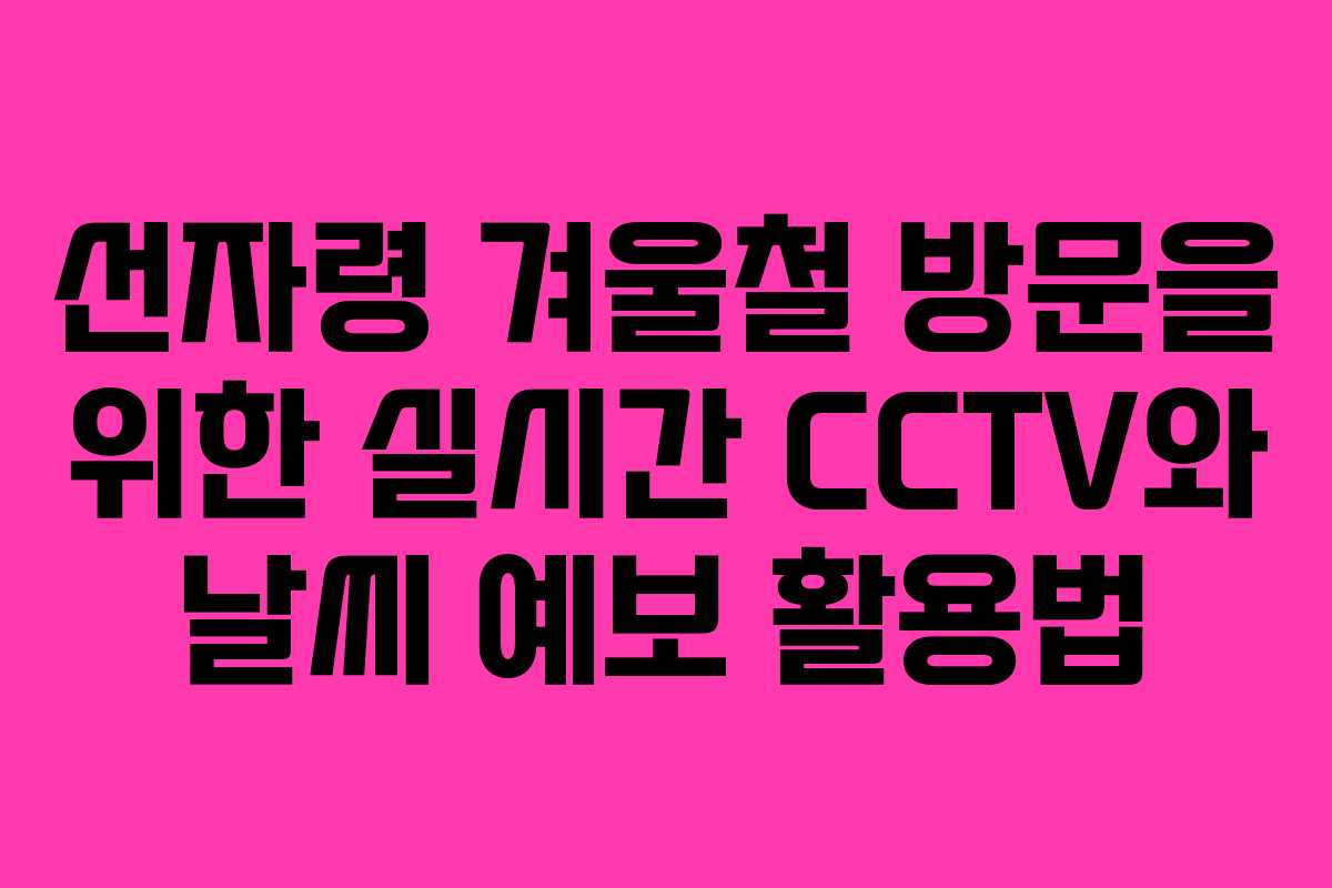 선자령 겨울철 방문을 위한 실시간 CCTV와 날씨 예보 활용법