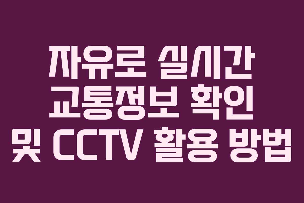 자유로 실시간 교통정보 확인 및 CCTV 활용 방법