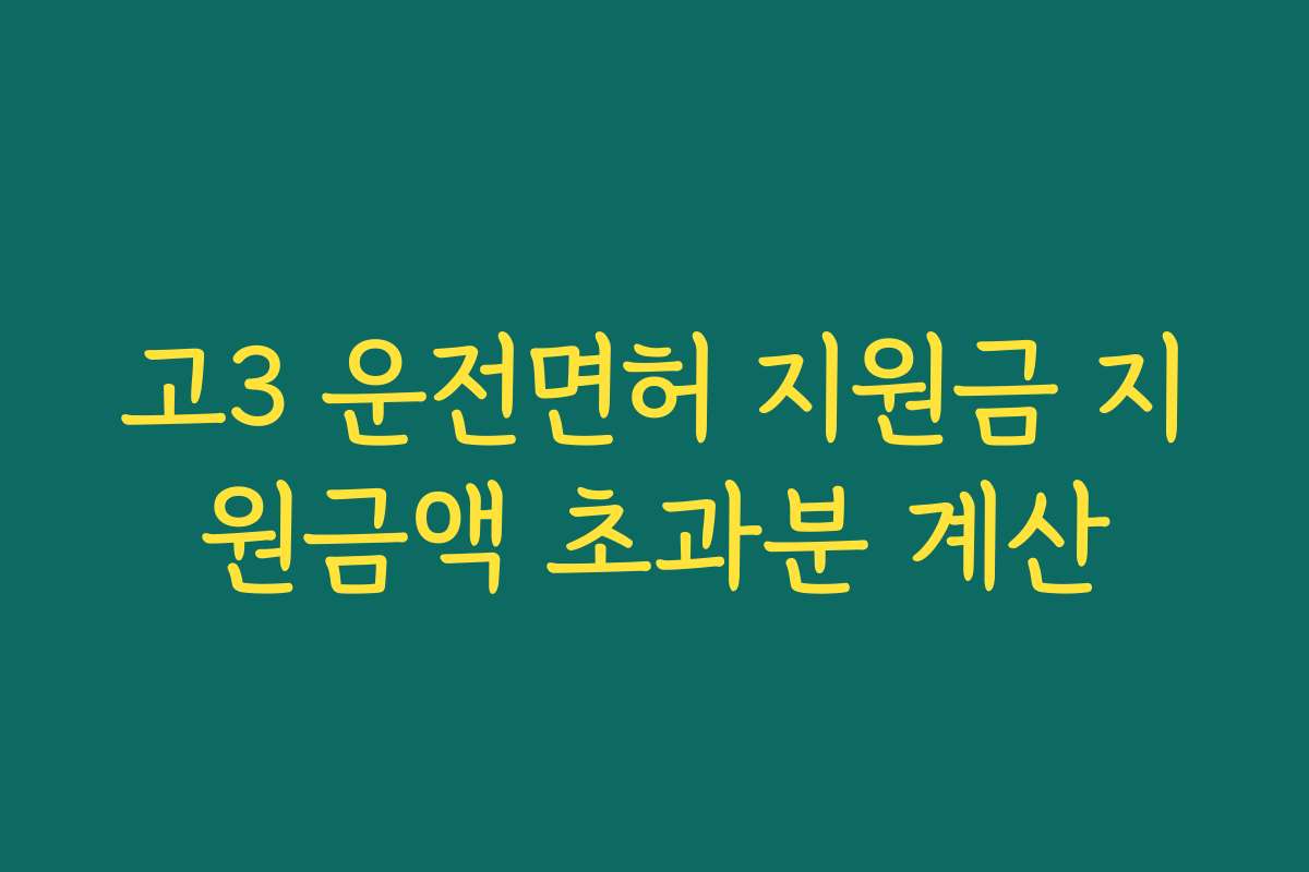 고3 운전면허 지원금 지원금액 초과분 계산